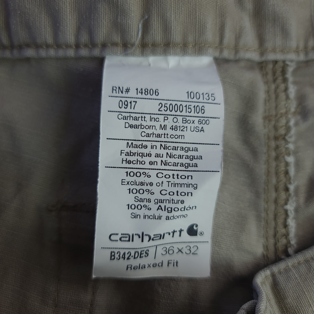 Carhartt B342 DES Carpenter Pants