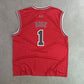 Chicago Bulls Adidas NBA Basketball Jersey - Rose 1