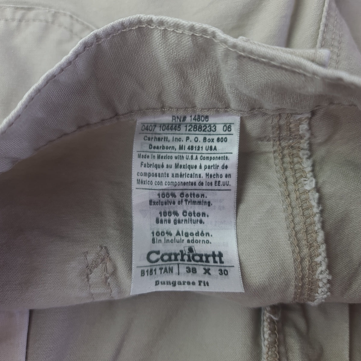 Carhartt Dungaree Fit Carpenter Pants
