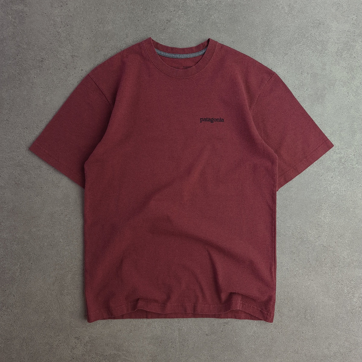 Patagonia Back Print T-Shirt