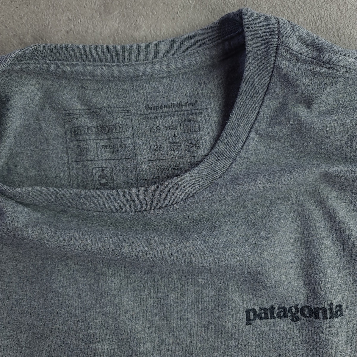 Patagonia Back Print T-Shirt