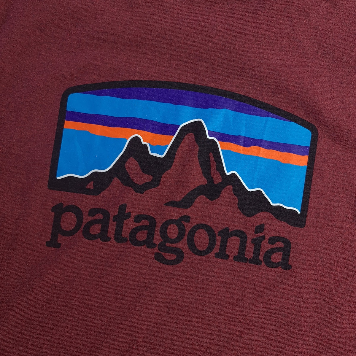 Patagonia Back Print T-Shirt