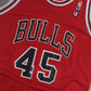 Chicago Bulls Champion NBA Basketball Jersey - Jordan 45