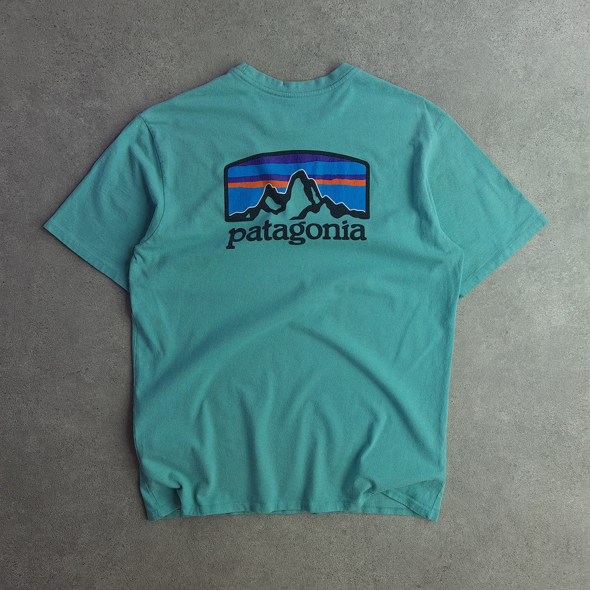 Patagonia Back Print T-Shirt