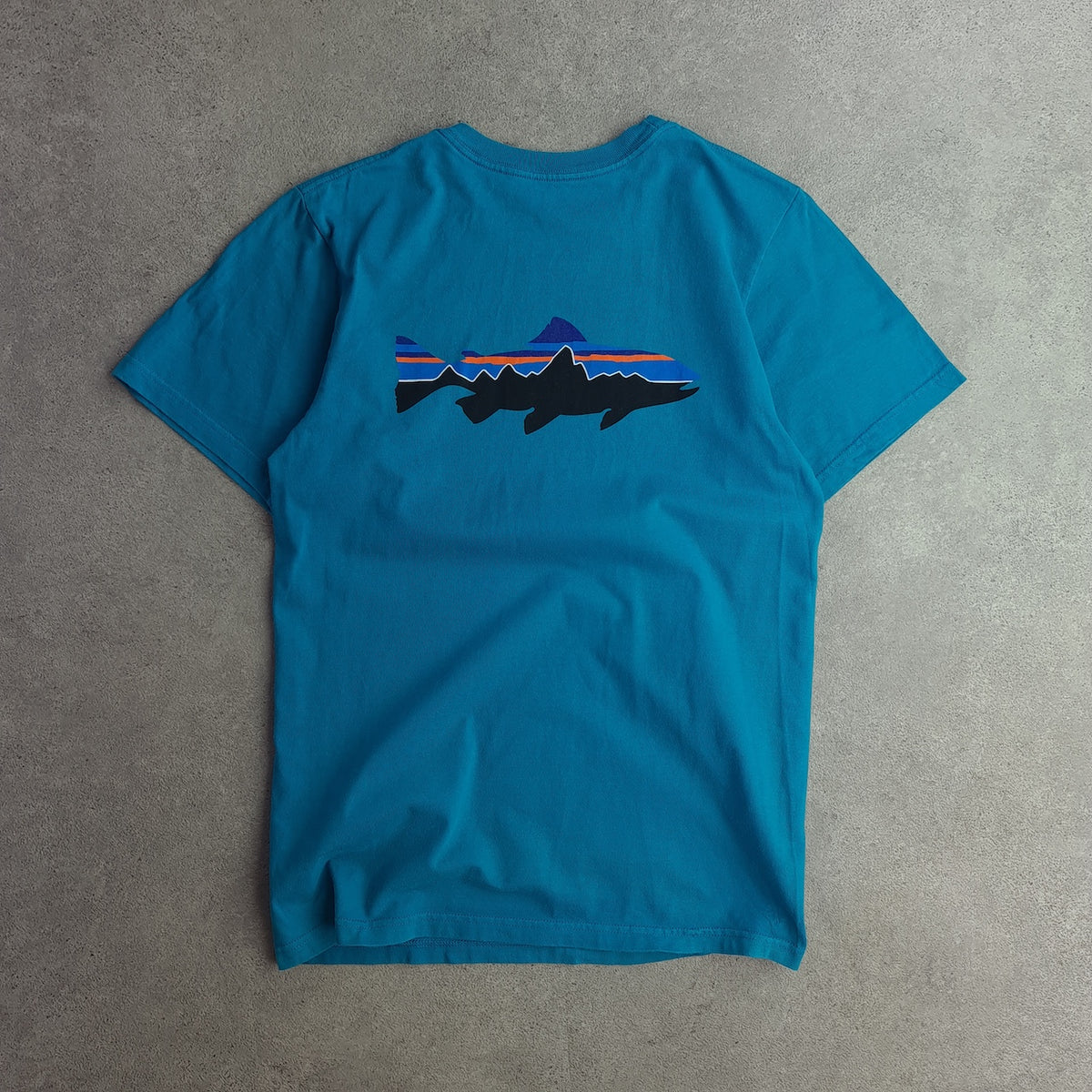 Patagonia Fishing Back Print T-Shirt
