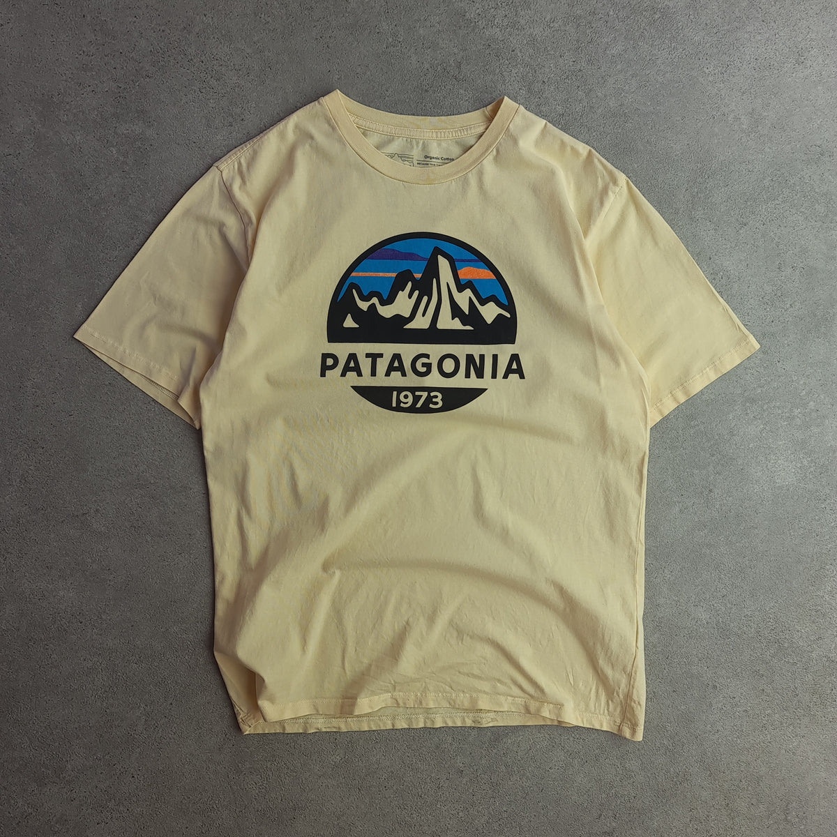 Patagonia Logo Print T-Shirt