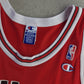 Vintage Chicago Bulls Champion NBA Jersey - Rodman 91