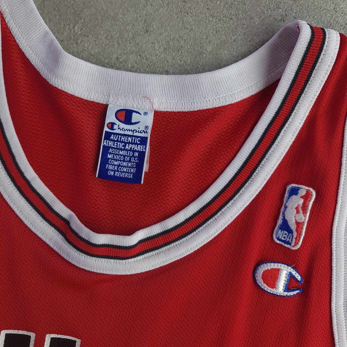 Vintage Chicago Bulls Champion NBA Jersey - Rodman 91