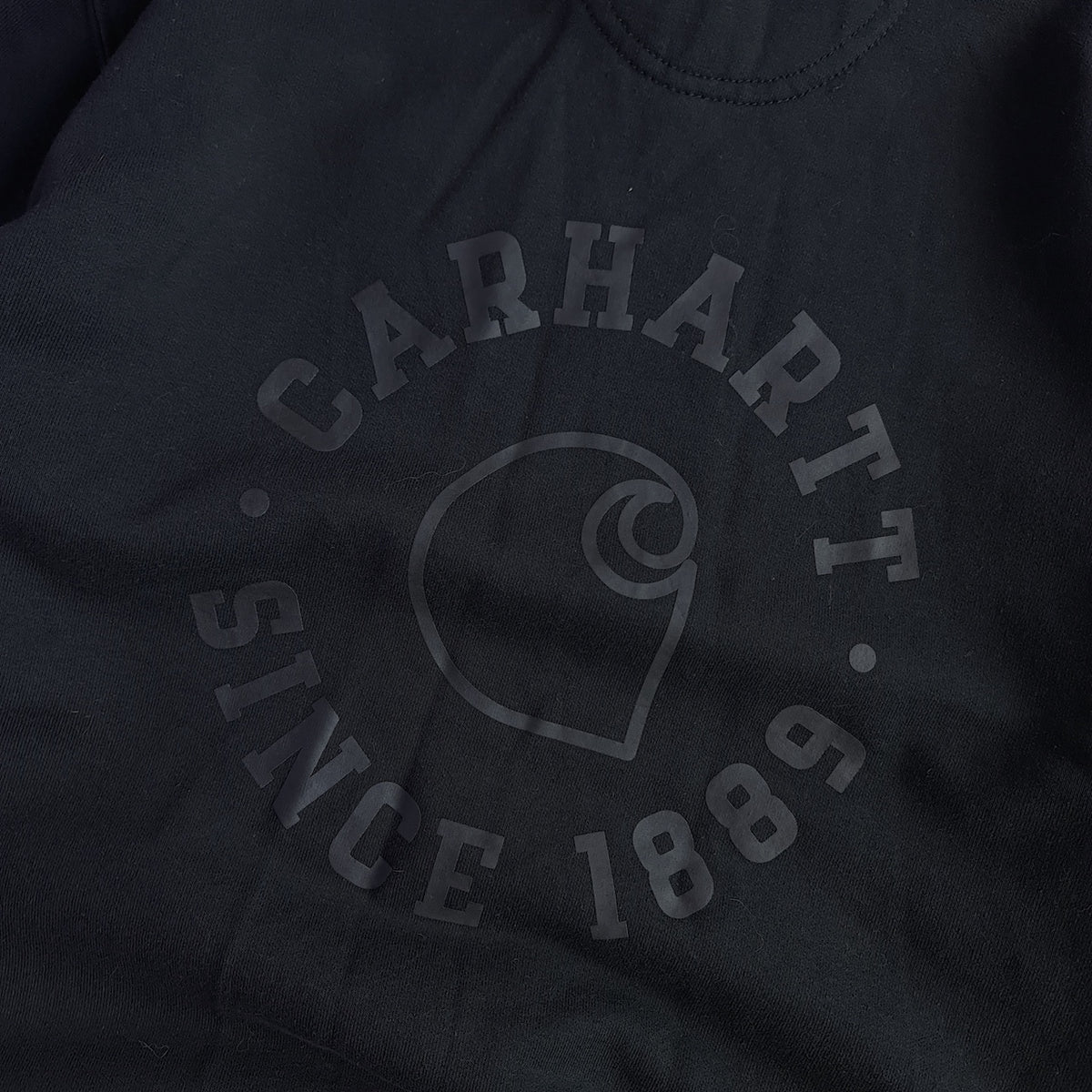 Carhartt Rain Defender Loose Fit Sleeve/Back Logo Graphic Hoodie