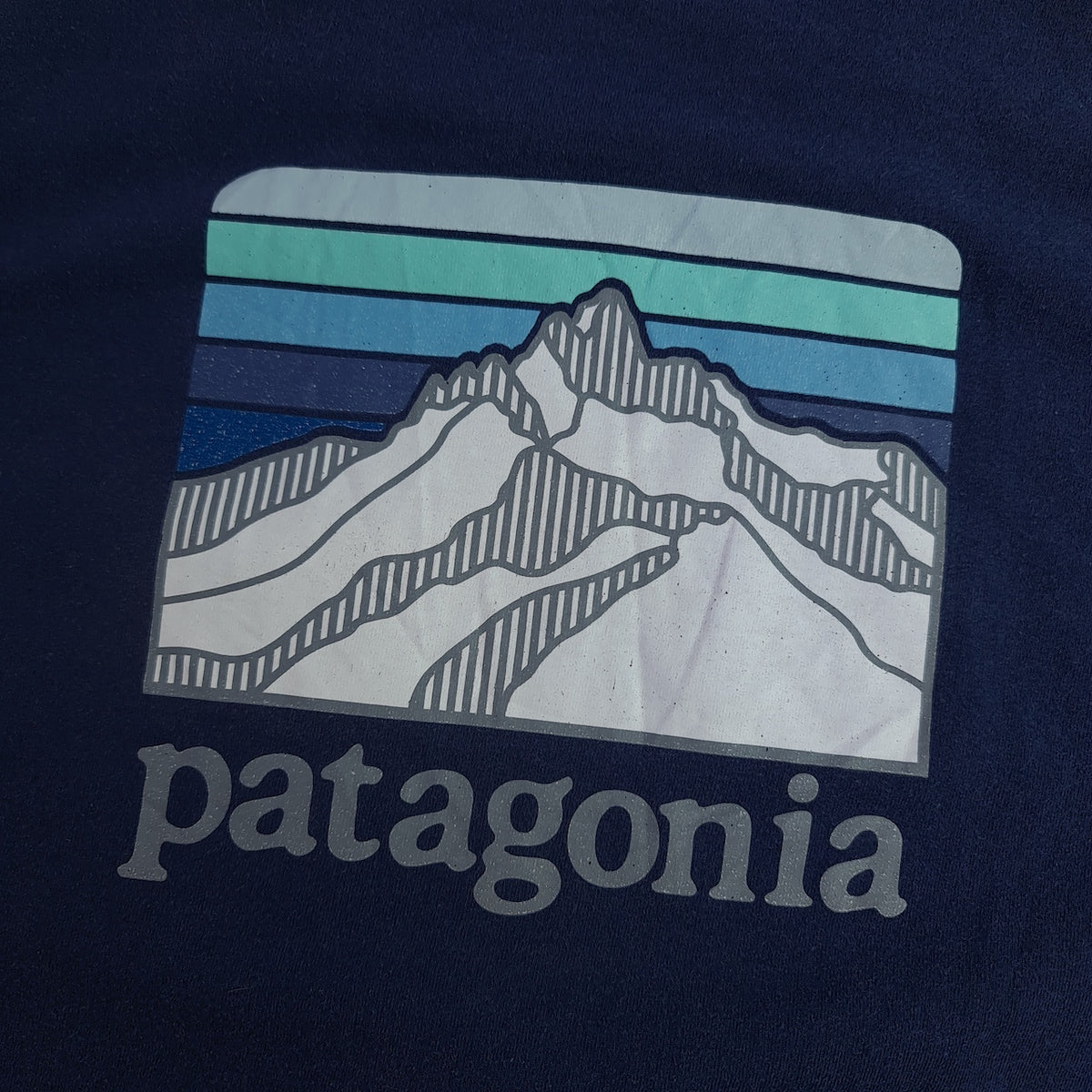 Patagonia Back Print Pocket T-Shirt