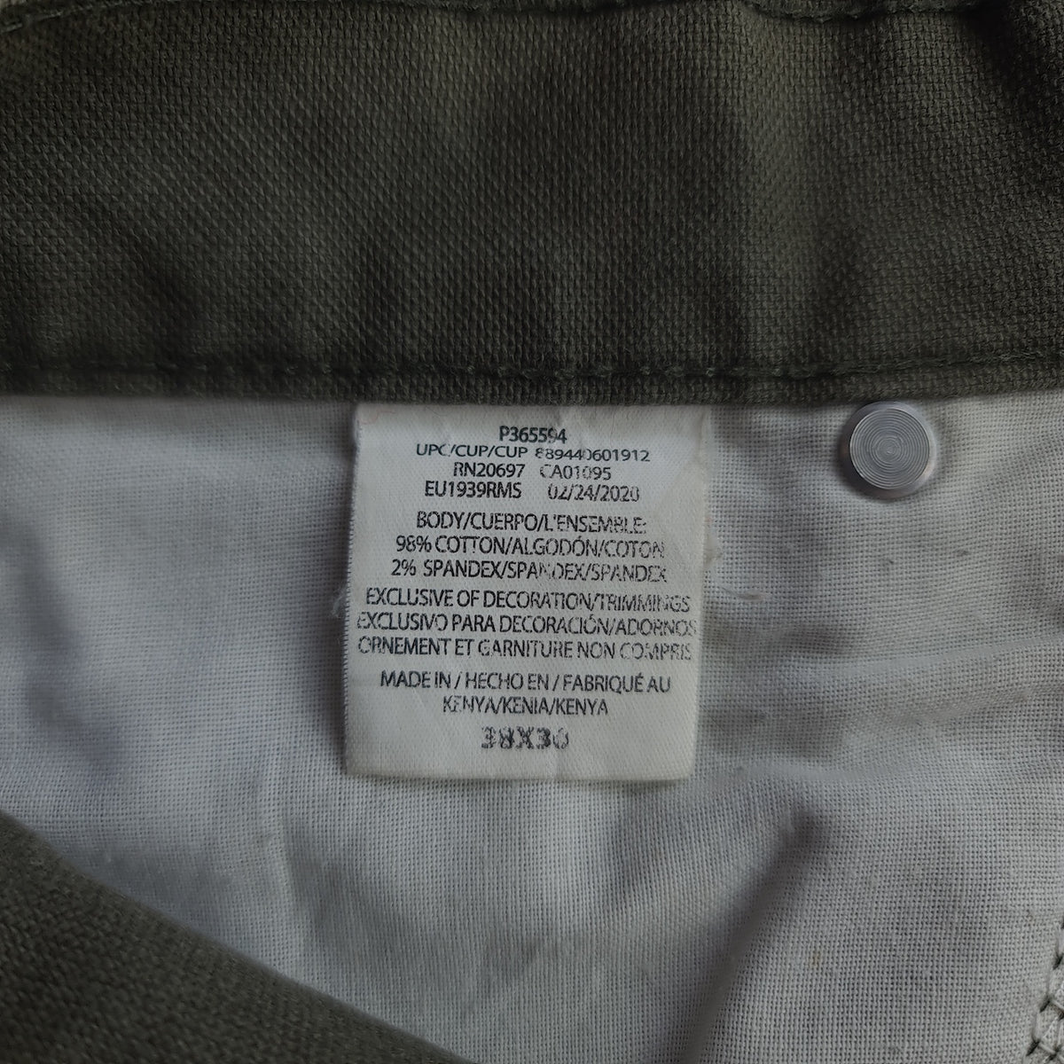 Dickies Distressed Carpenter Pants