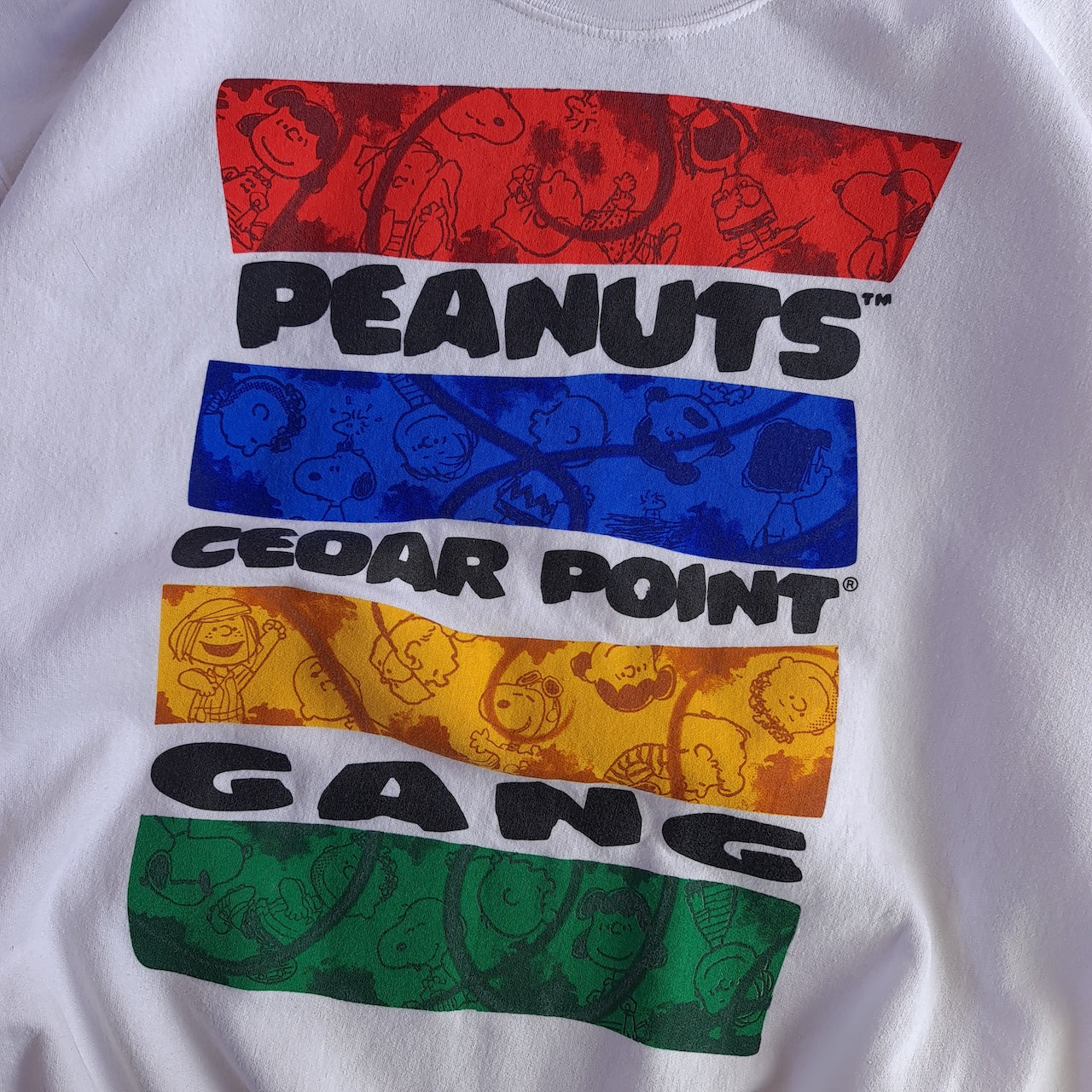 Vintage Peanuts Snoopy Cedar Point Gang Sweatshirt