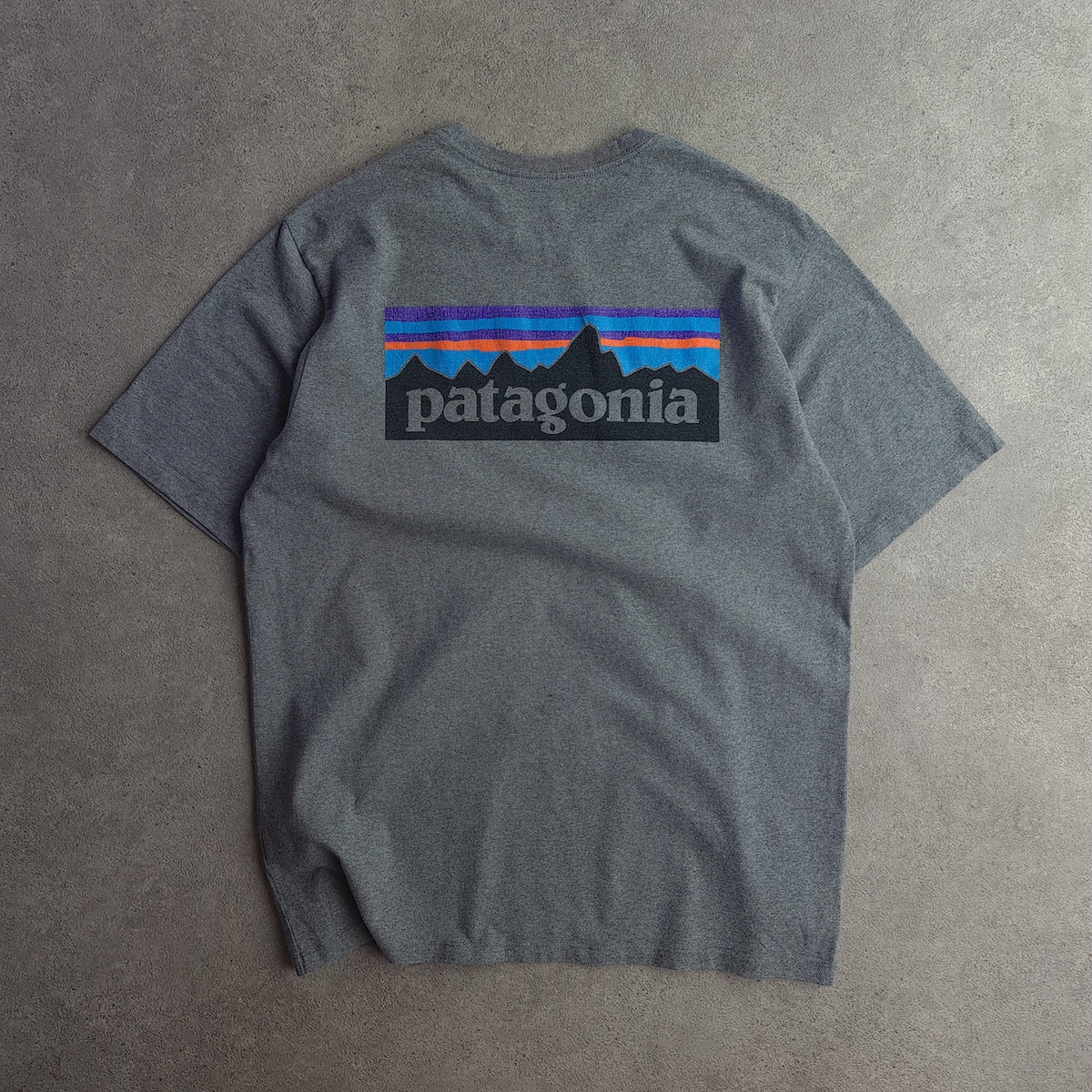 Patagonia Back Print T-Shirt