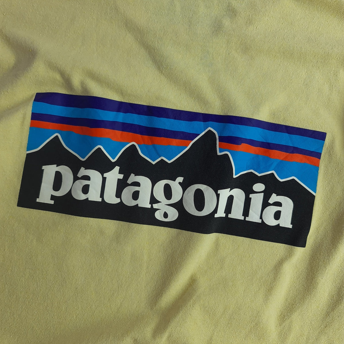 Patagonia Back Print T-Shirt