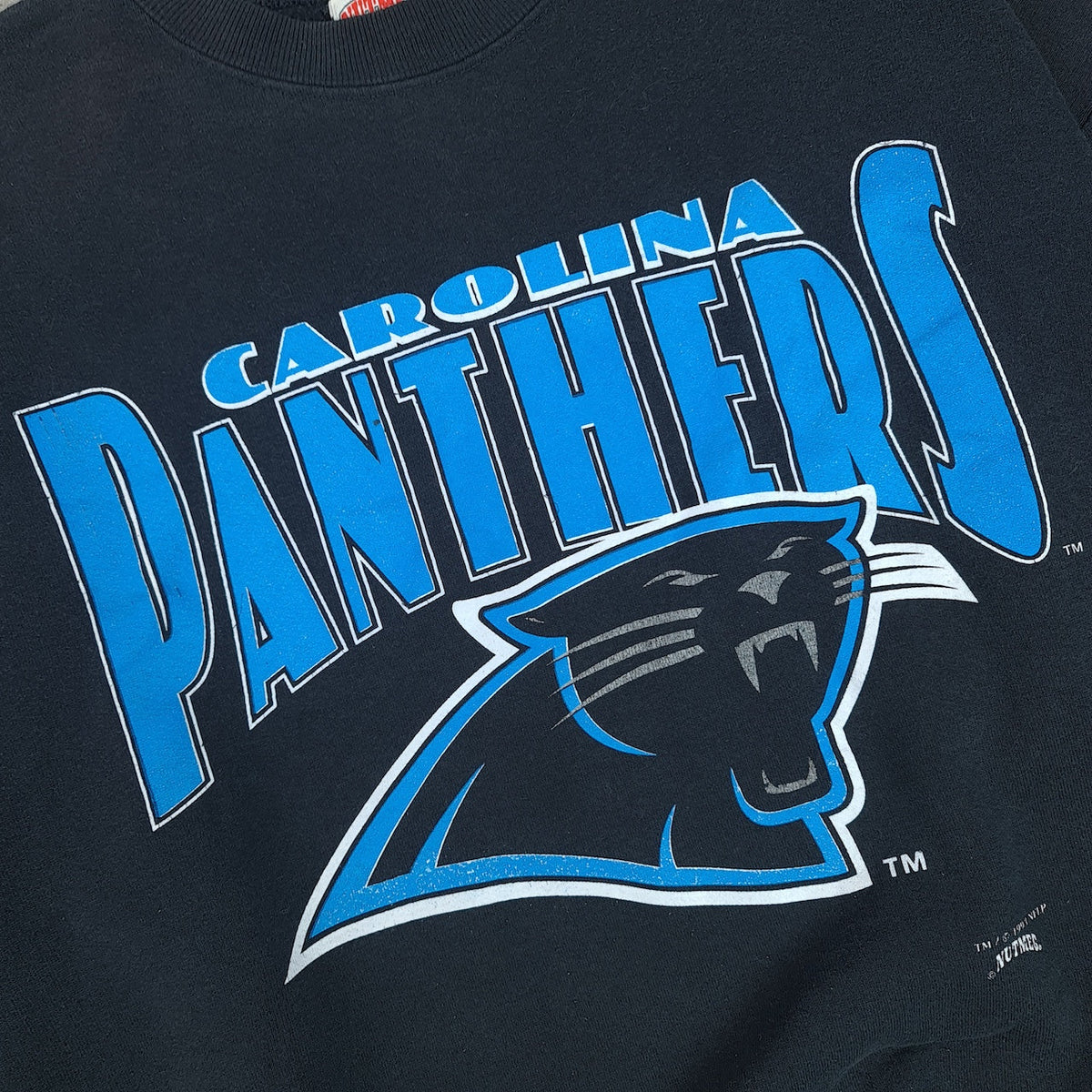 1993 CAROLINA PANTHERS Sweatshirt