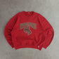 Vintage RUSSELL Wyoming Sweatshirt