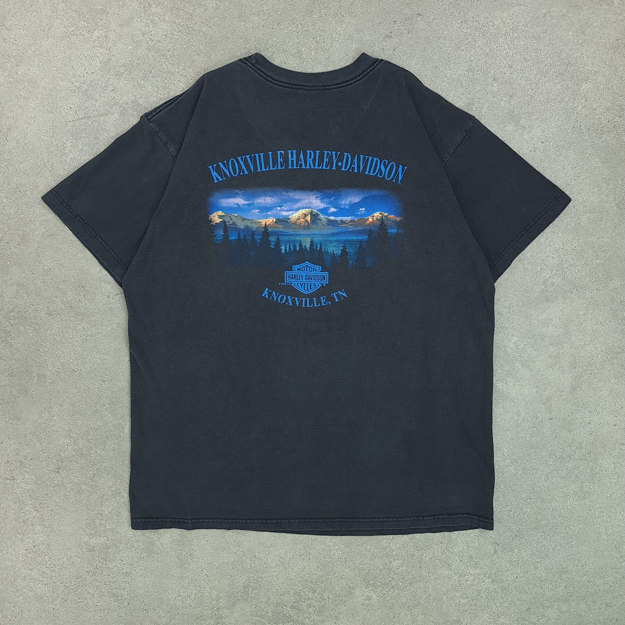 2000 HARLEY DAVIDSON Vintage T-Shirt