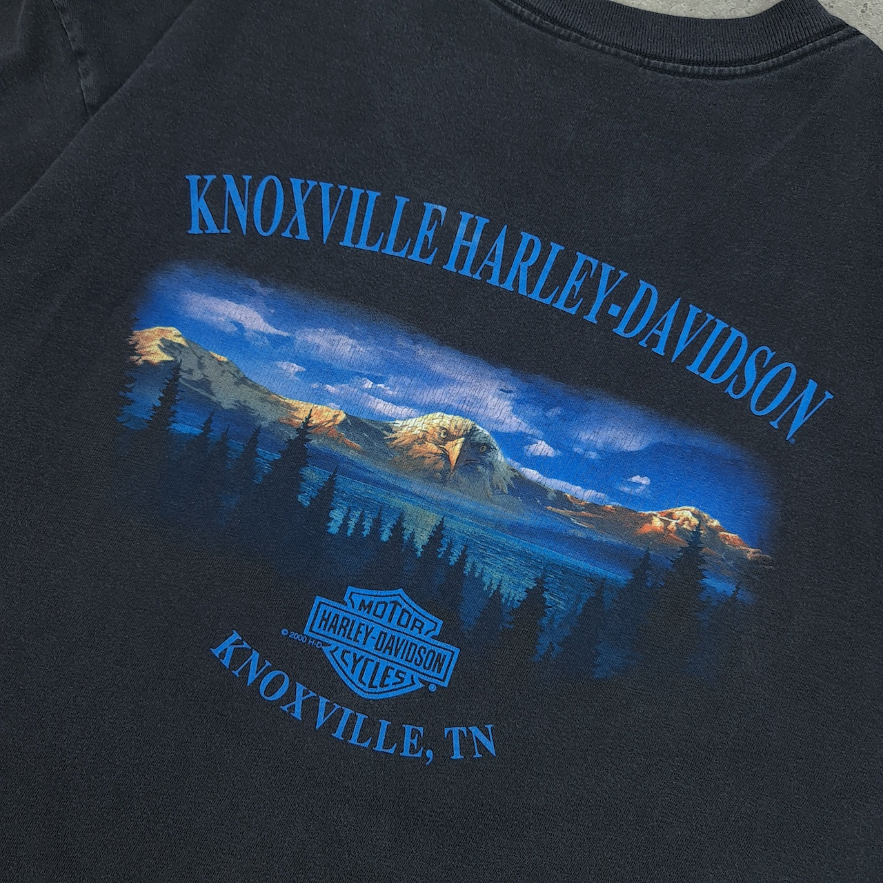 2000 HARLEY DAVIDSON Vintage T-Shirt