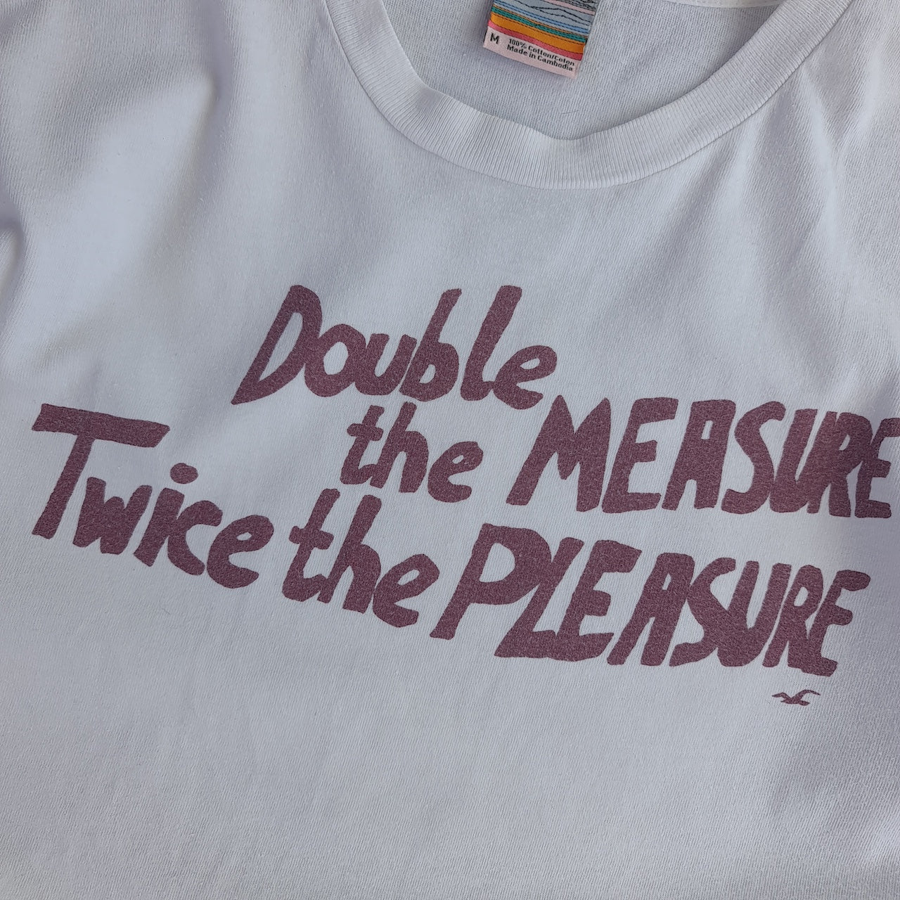 Hollister Twice The Pleasure T-Shirt