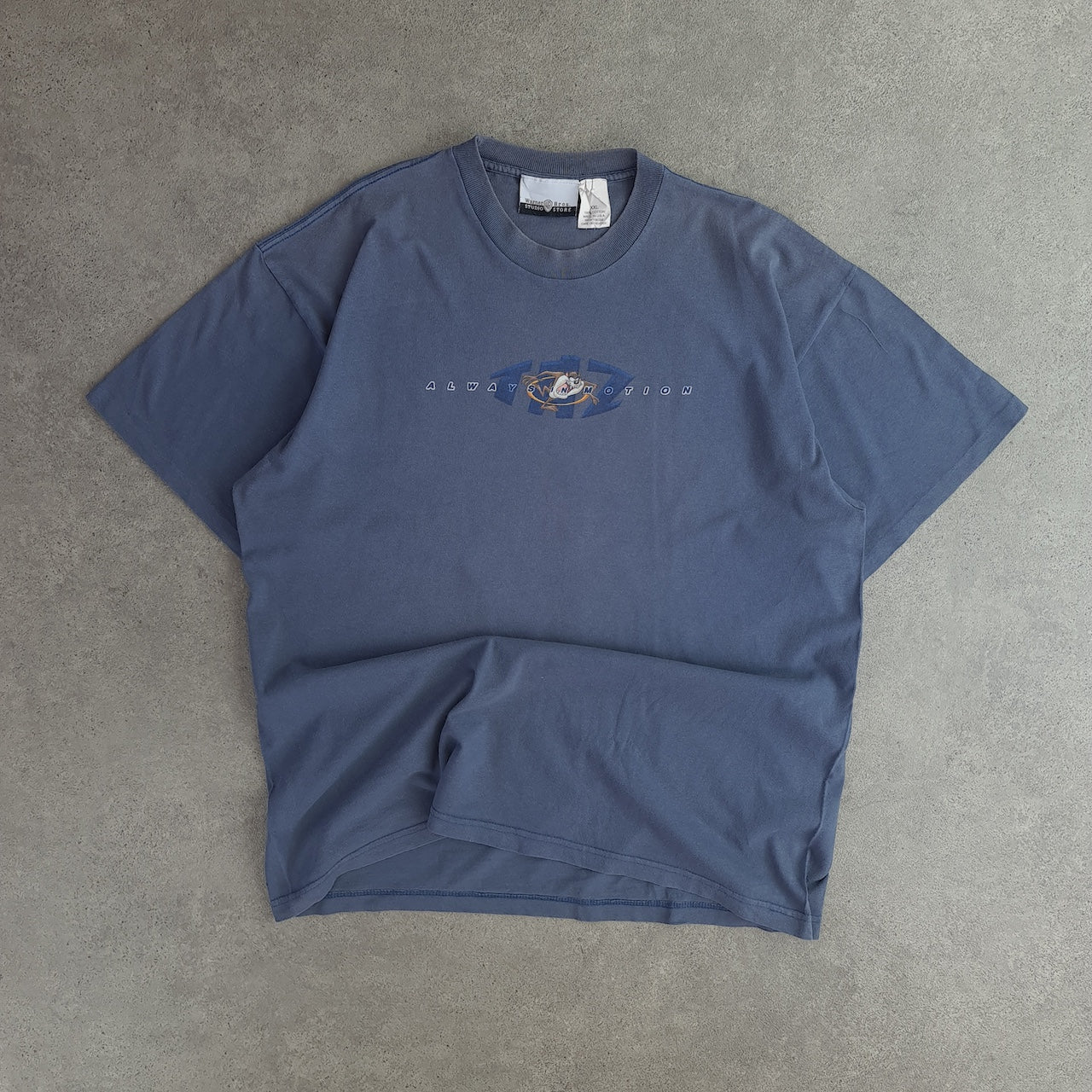 Vintage TAZ Always In Motion T-Shirt