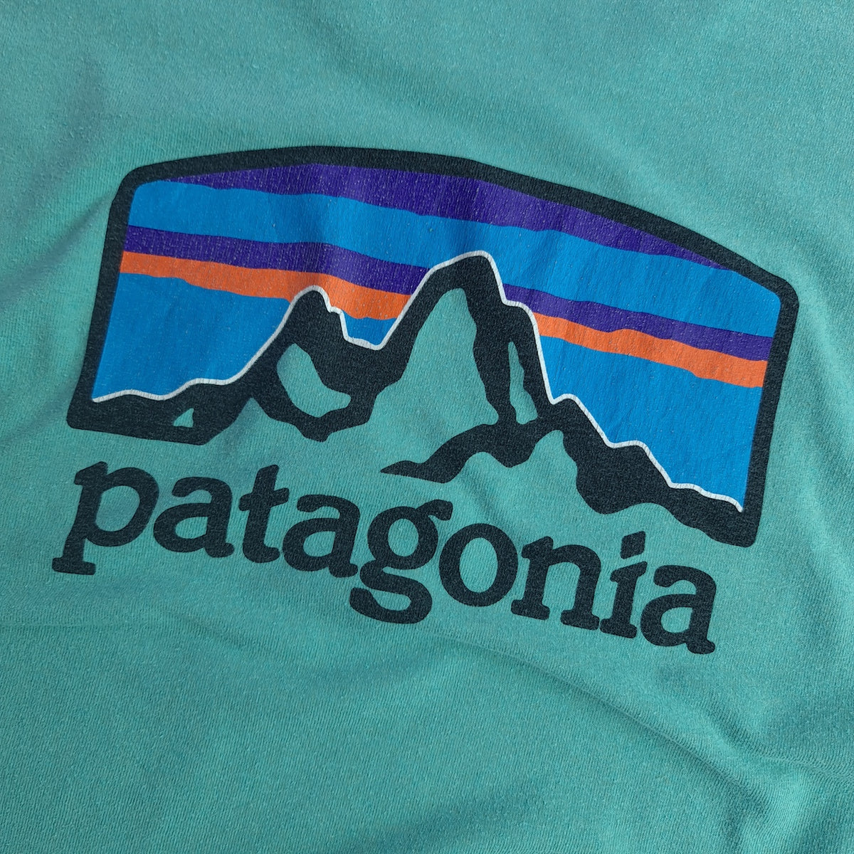 Patagonia Back Print T-Shirt