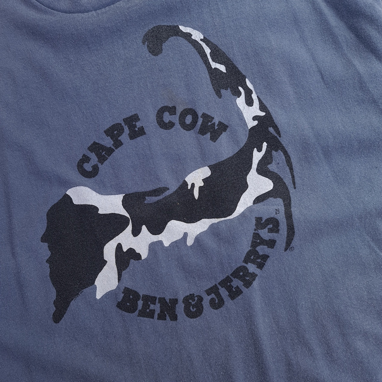 Vintage Ben & Jerry's Cape Cow Single Stitch T-Shirt