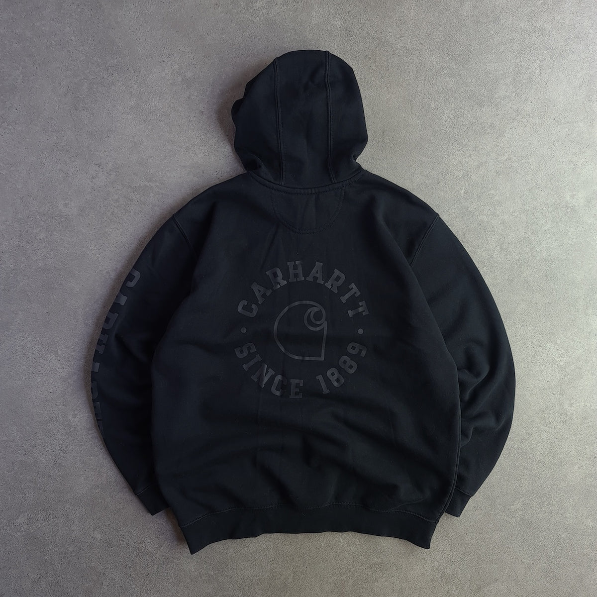 Carhartt Rain Defender Loose Fit Sleeve/Back Logo Graphic Hoodie