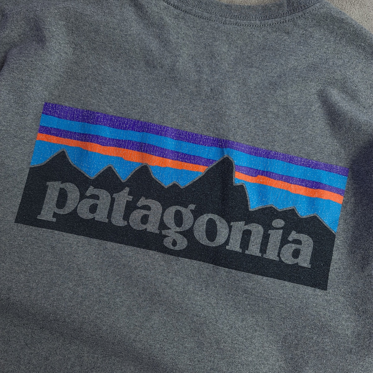 Patagonia Back Print T-Shirt