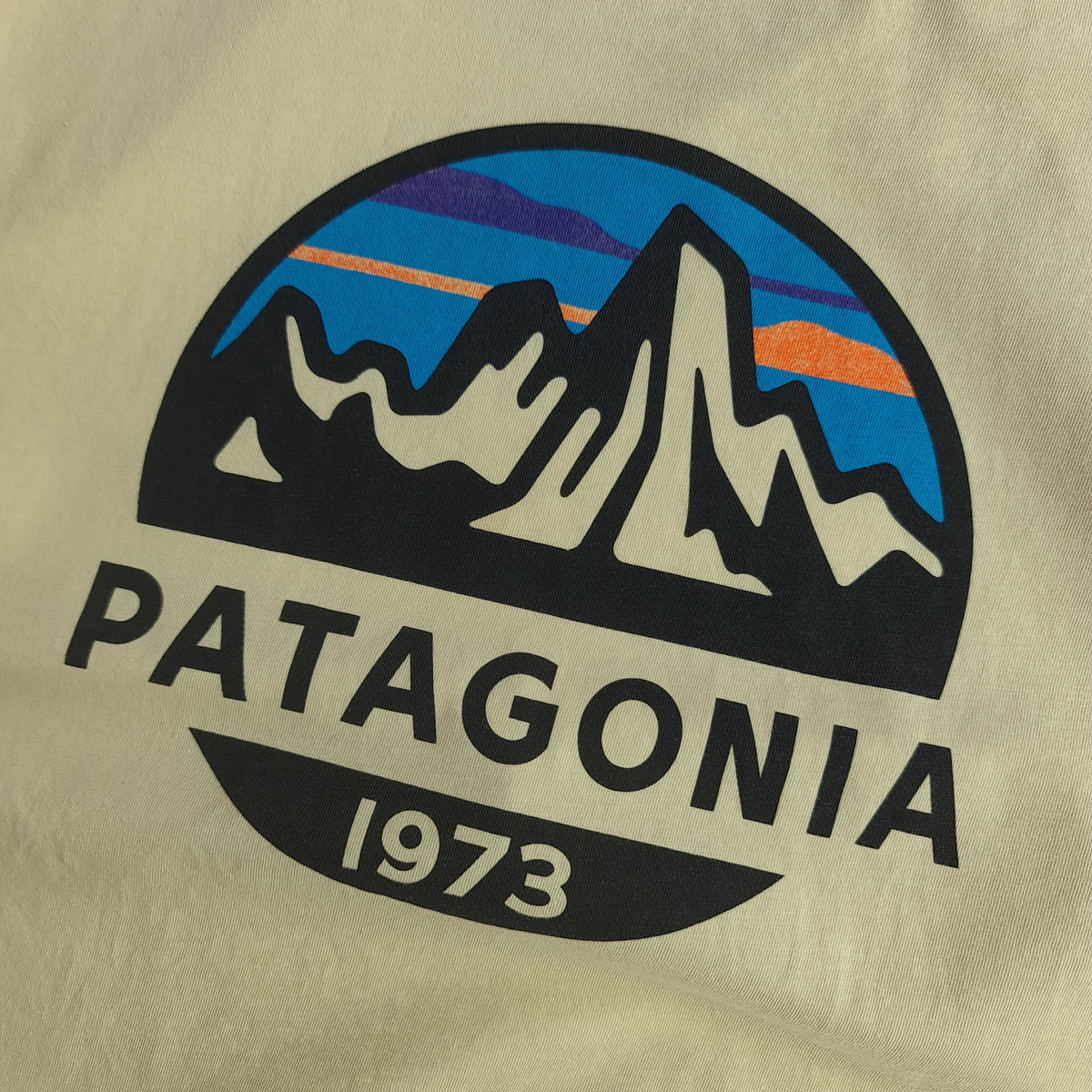 Patagonia Logo Print T-Shirt