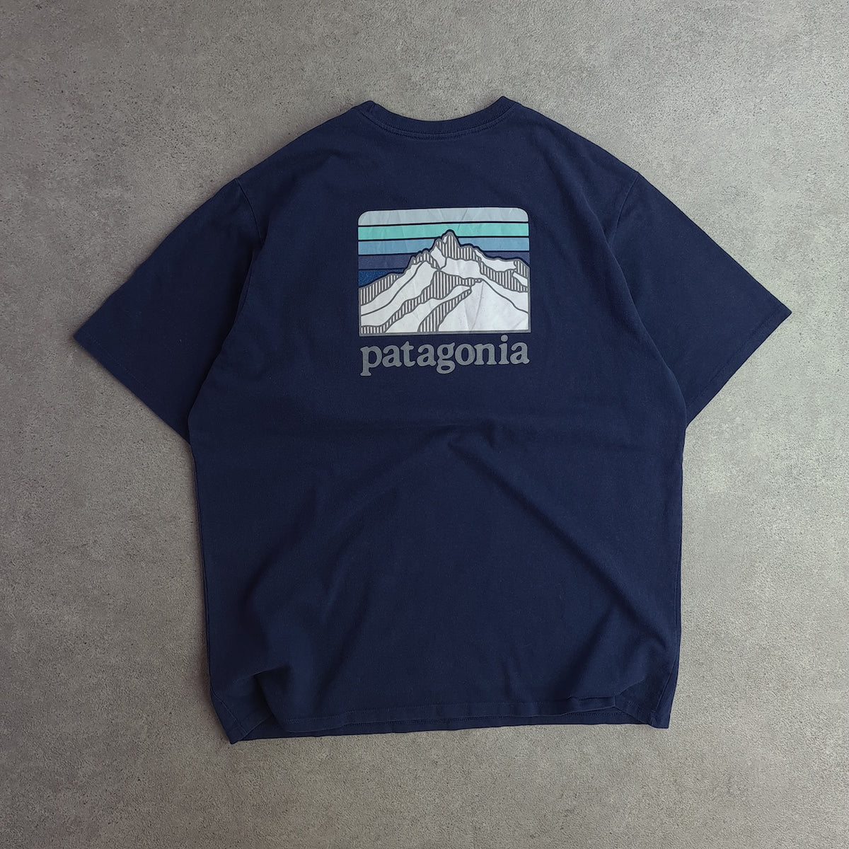 Patagonia Back Print Pocket T-Shirt