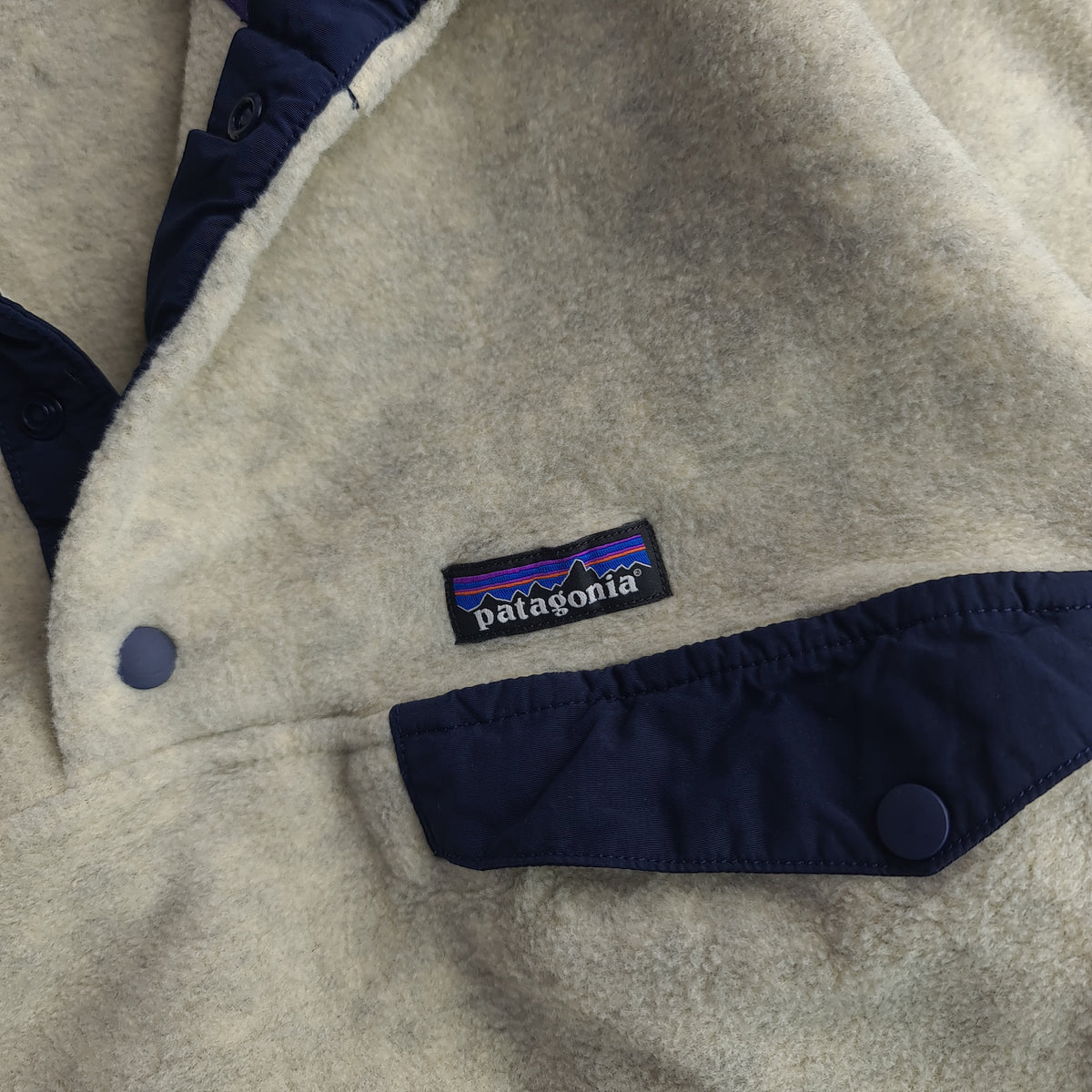 Patagonia Snap T Fleece