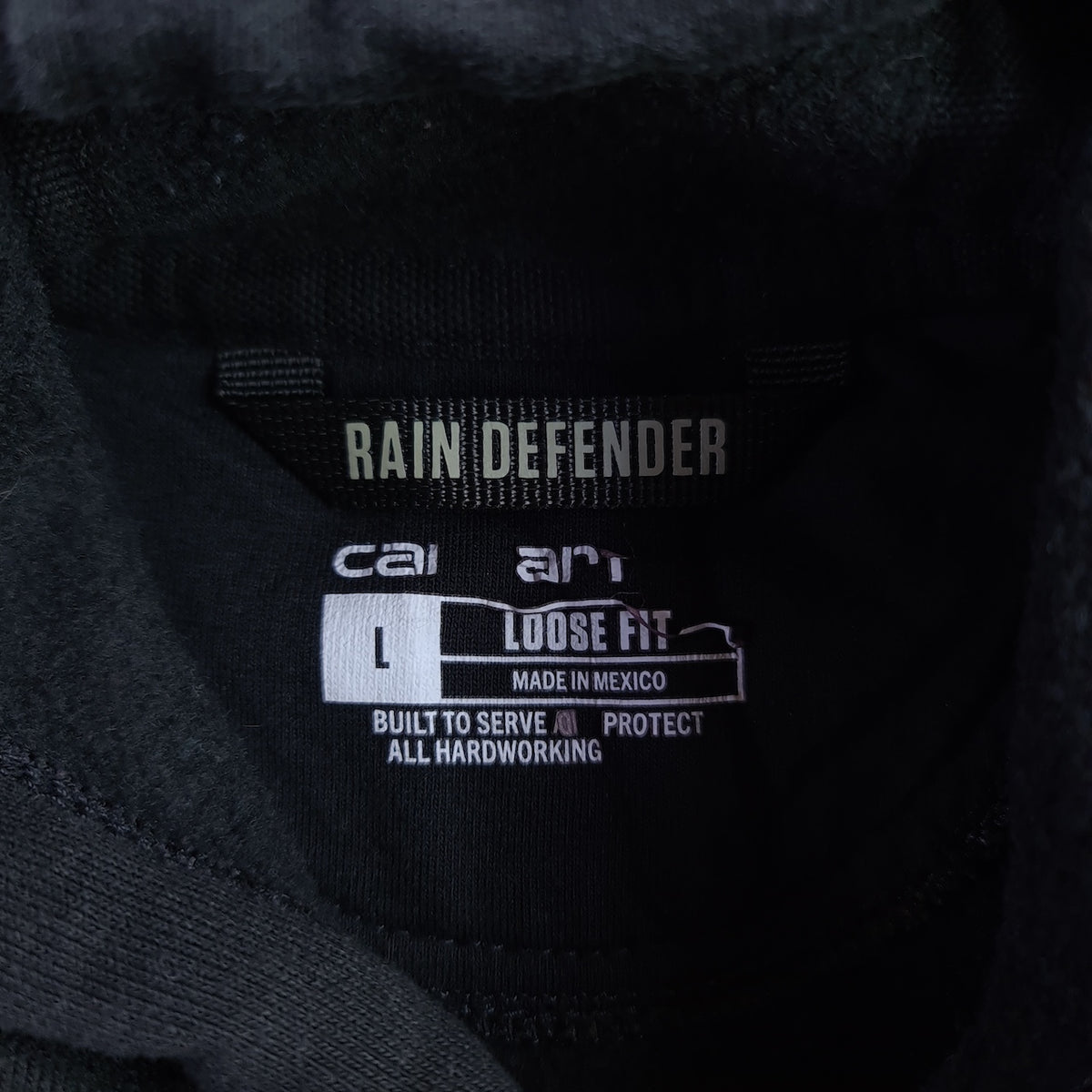 Carhartt Rain Defender Loose Fit Sleeve/Back Logo Graphic Hoodie