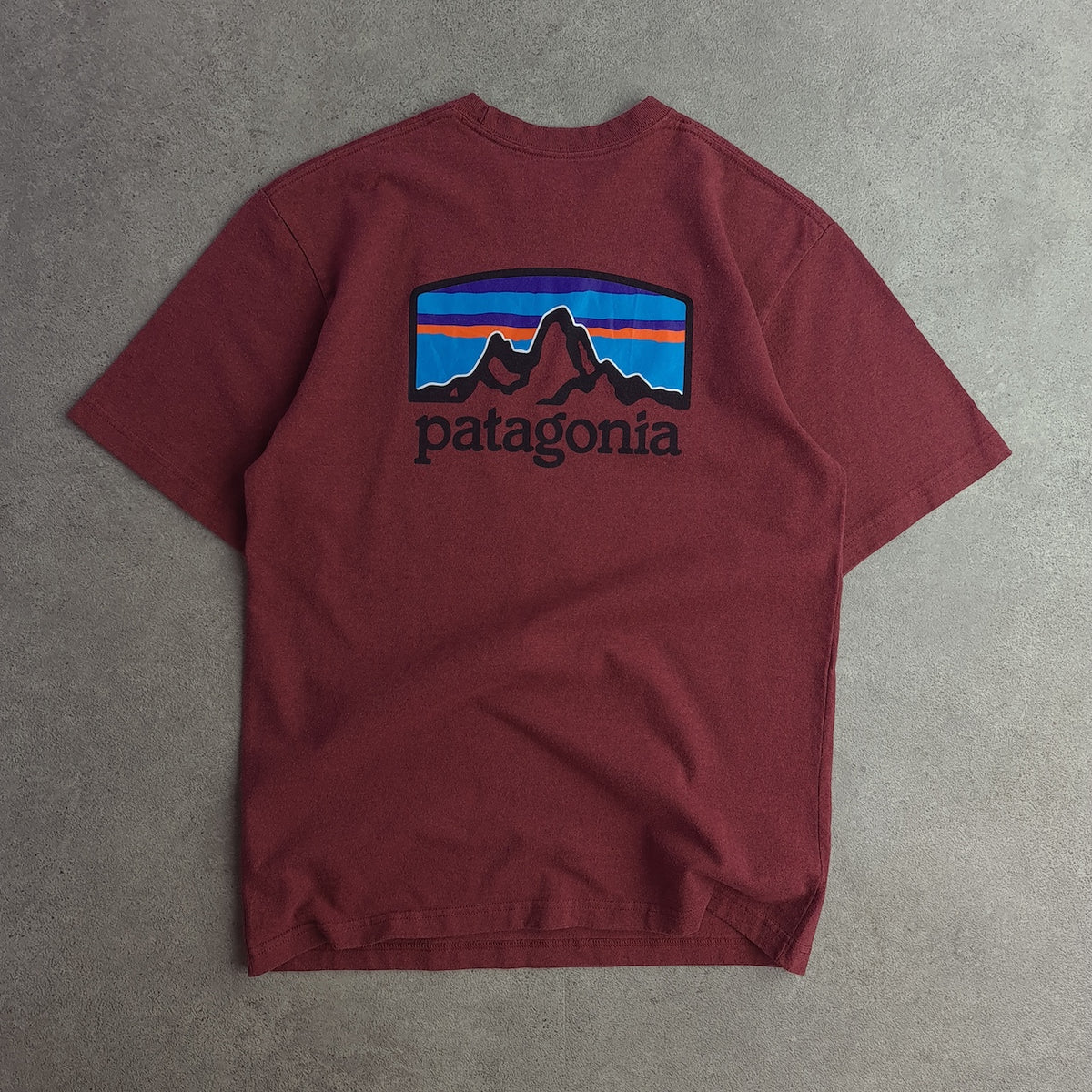 Patagonia Back Print T-Shirt