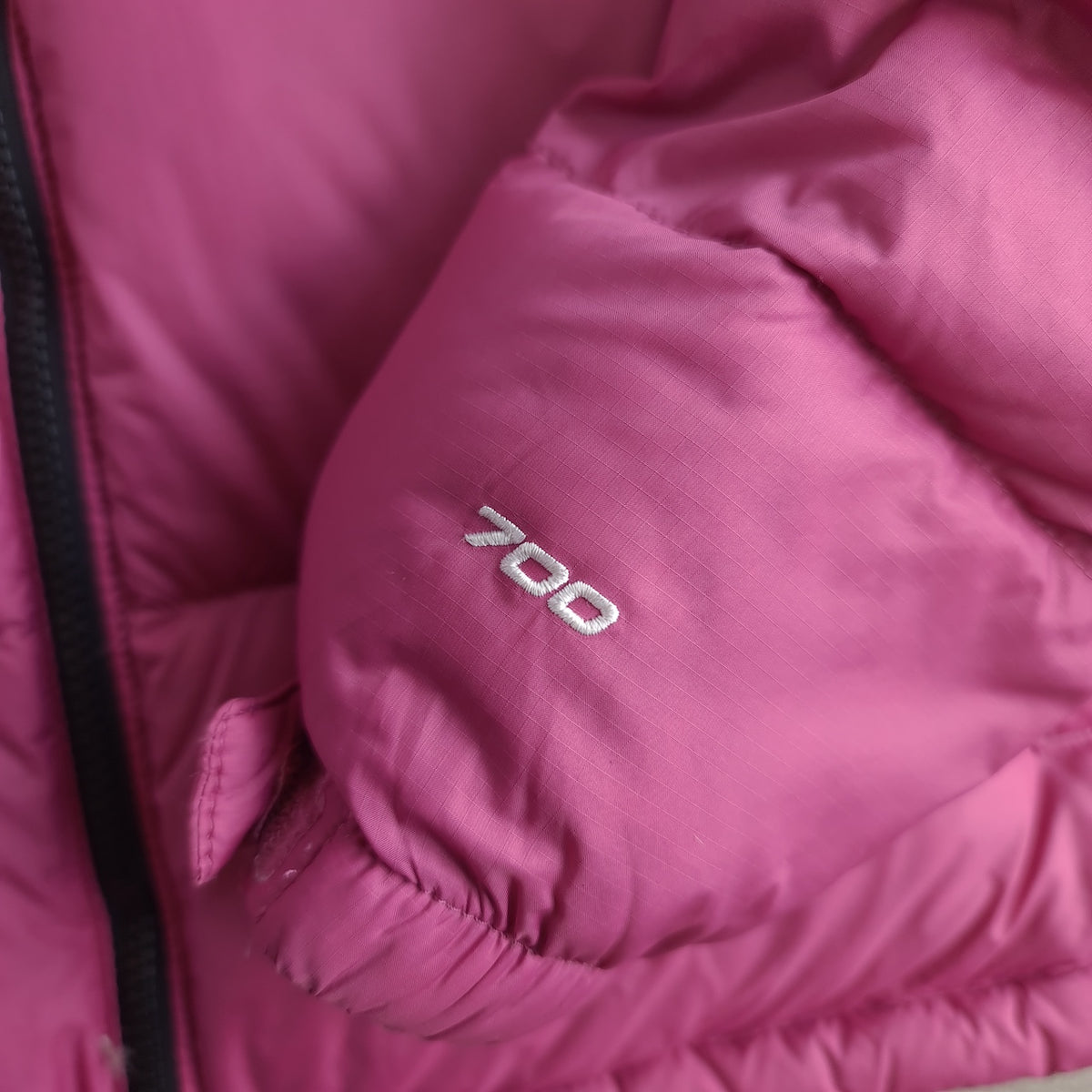 The North Face Retro Nuptse 700 Down Puffer Jacket
