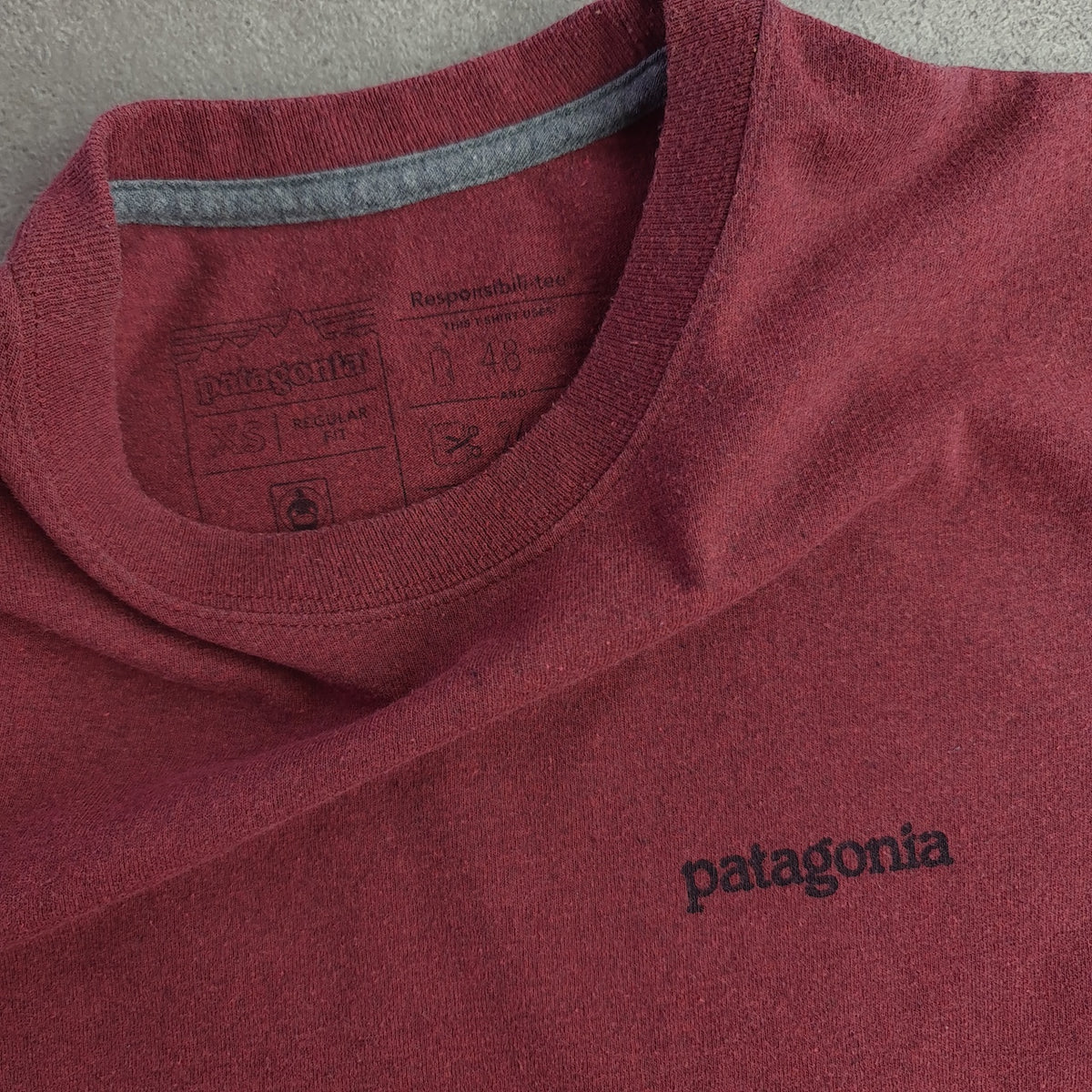 Patagonia Back Print T-Shirt