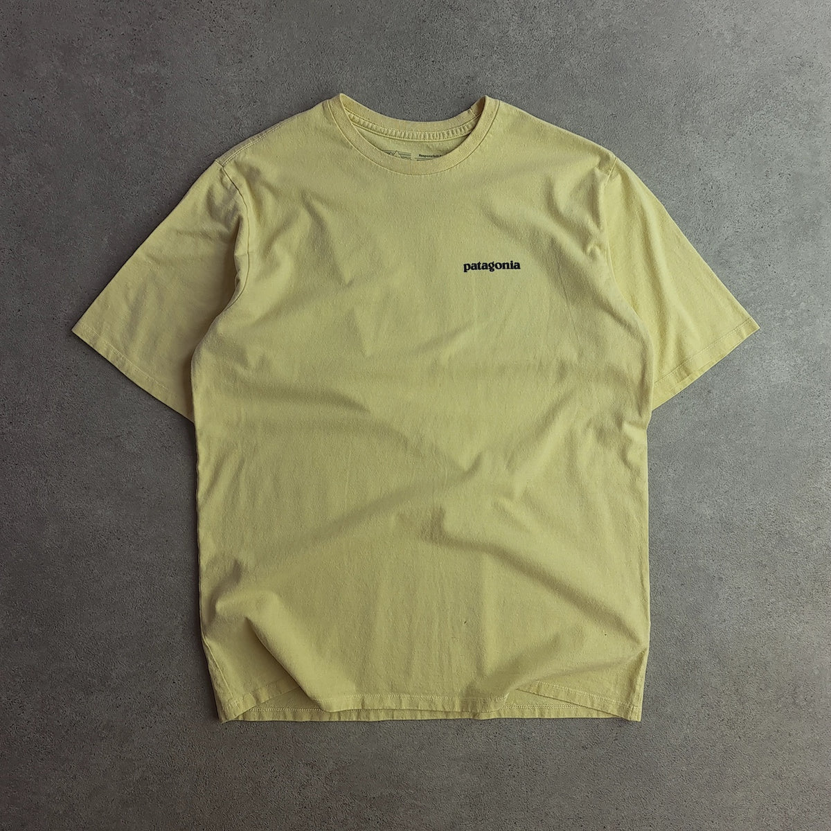 Patagonia Back Print T-Shirt